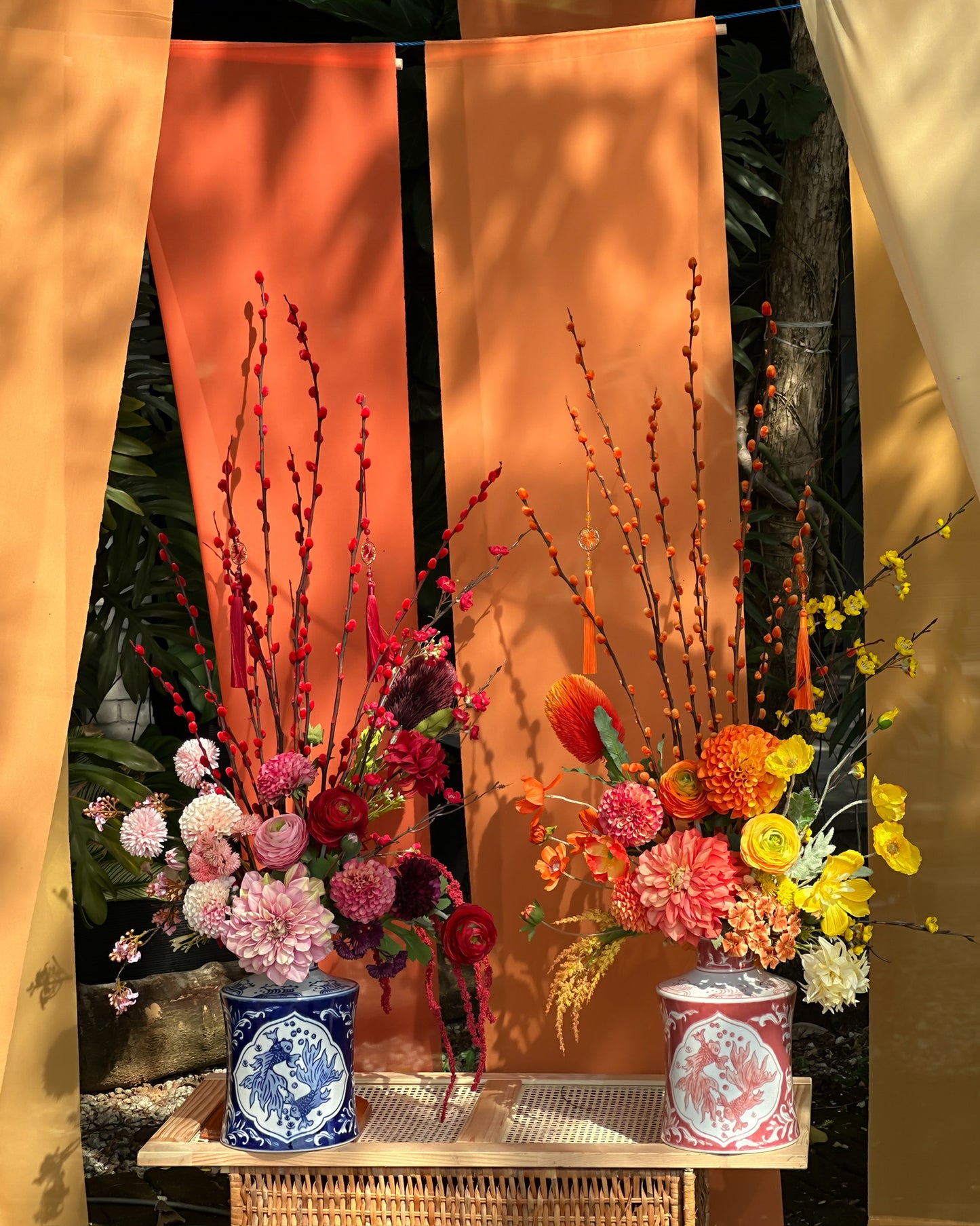 旭日东升 Sunrise Tangerine Willow.
