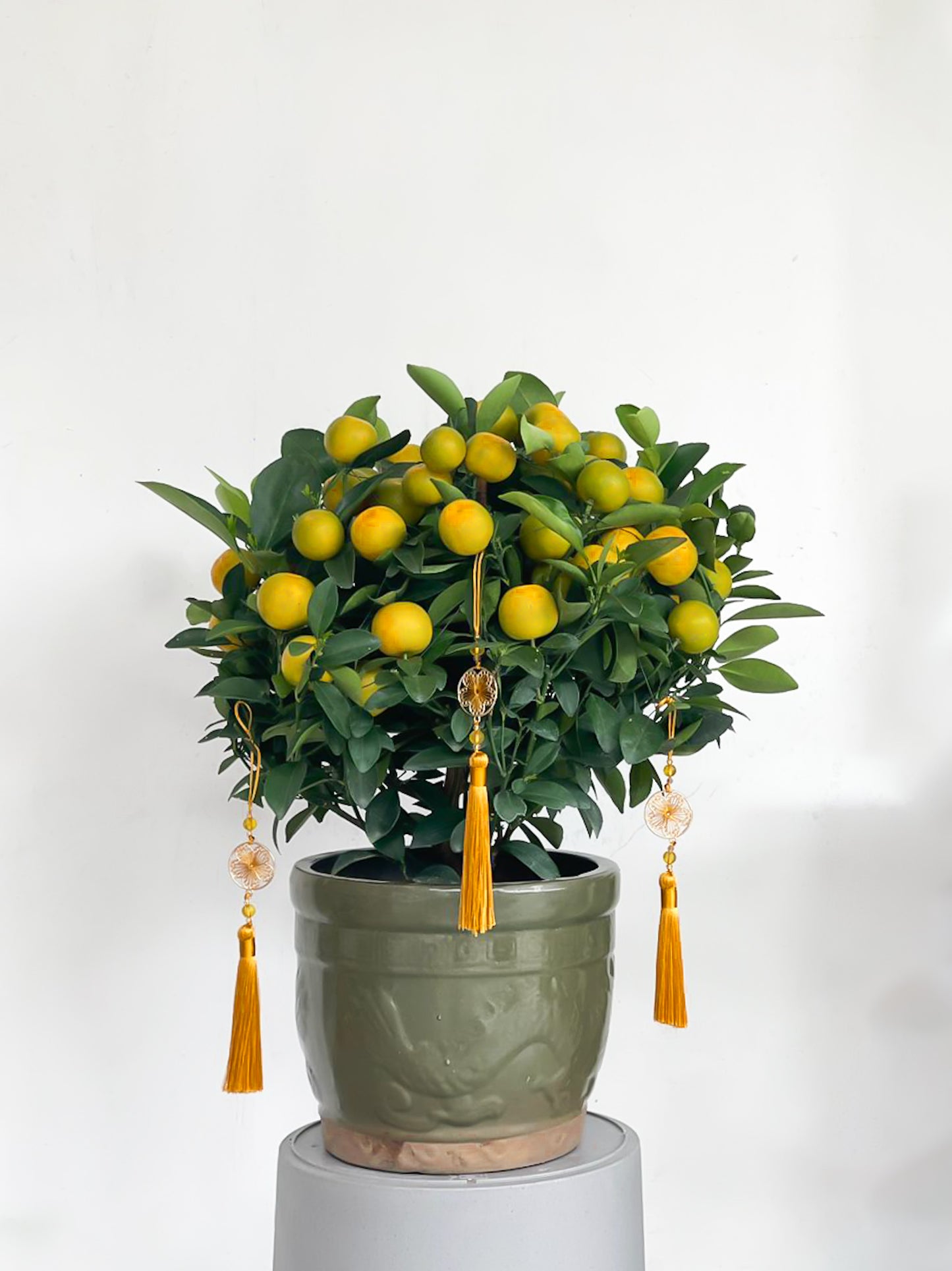 吉祥如意 Prosperity Mandarin Orange