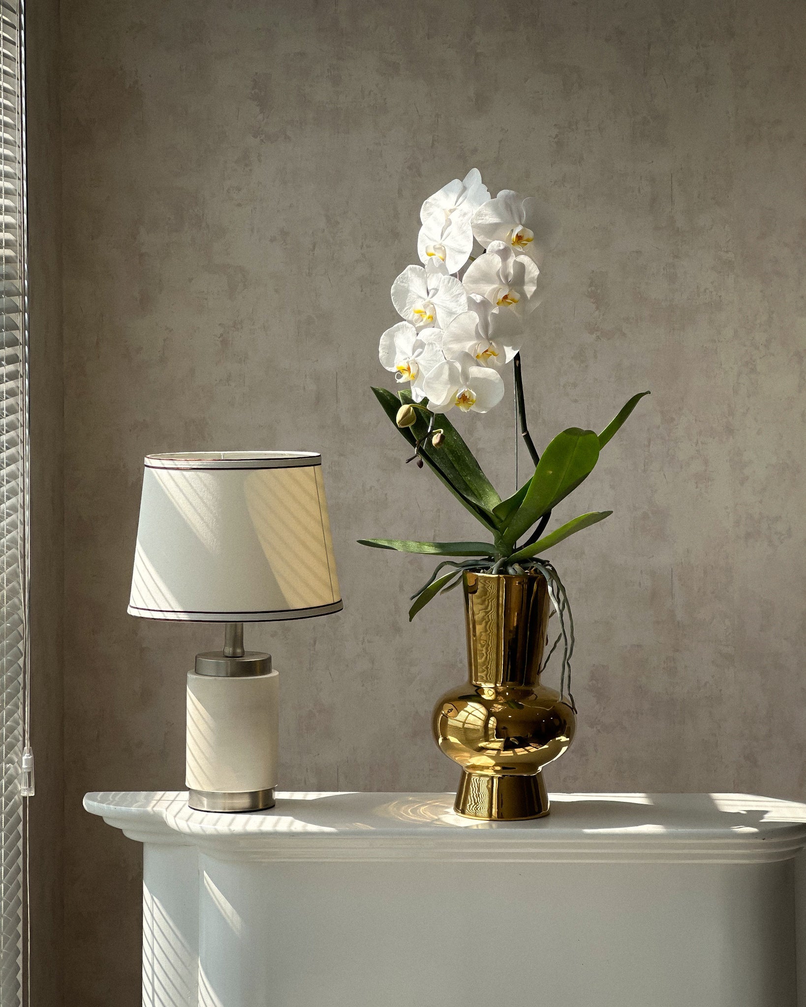 White Phalaenopsis in Gold Vase (Fresh Flower)