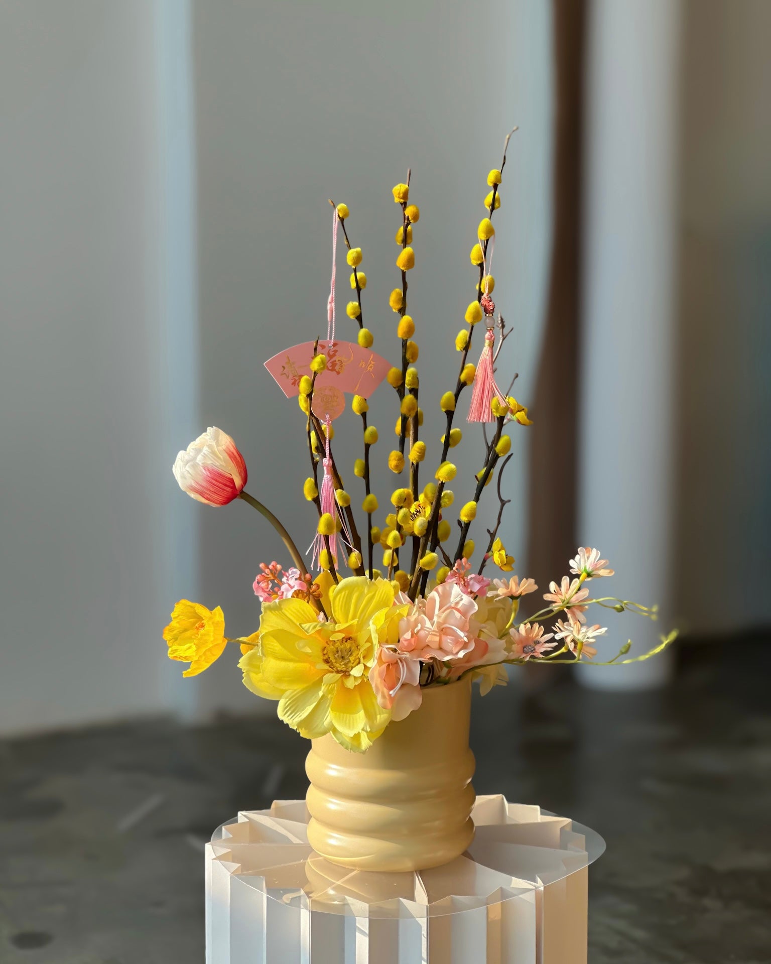欣曦  Xin Golden Willow