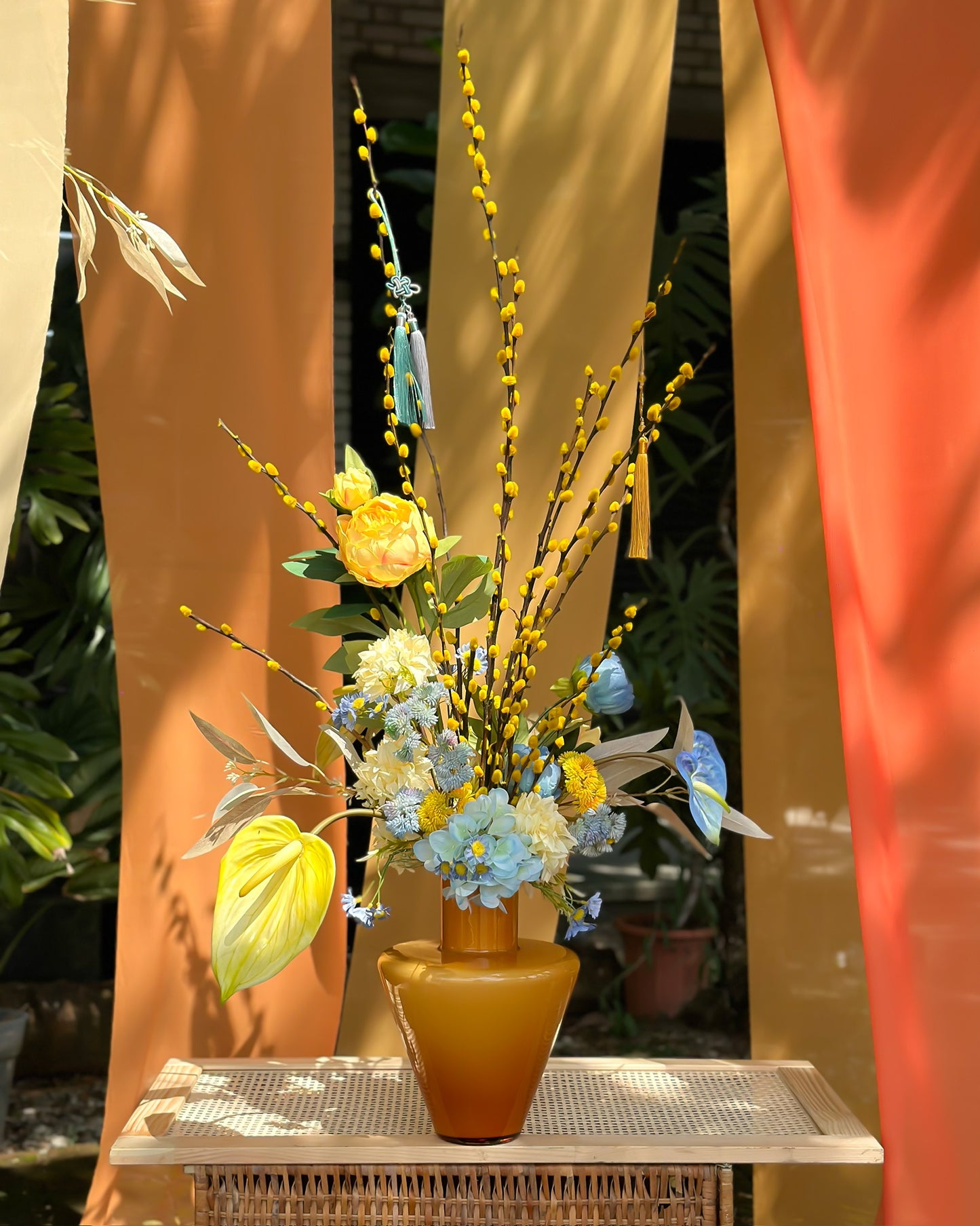 金蓝迎春 Vito Amber Willow.
