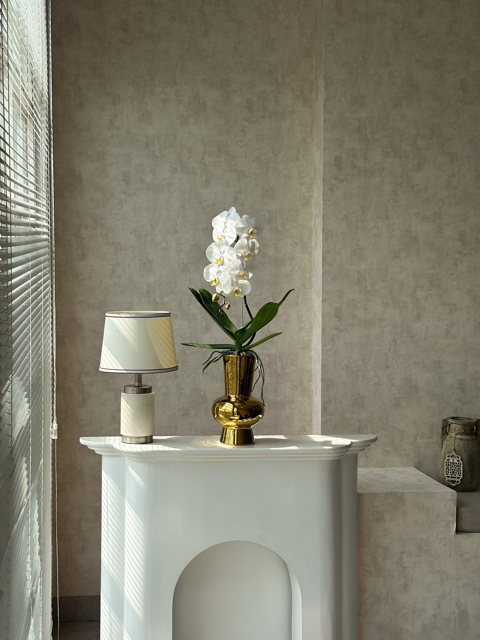 White Phalaenopsis in Gold Vase (Fresh Flower)