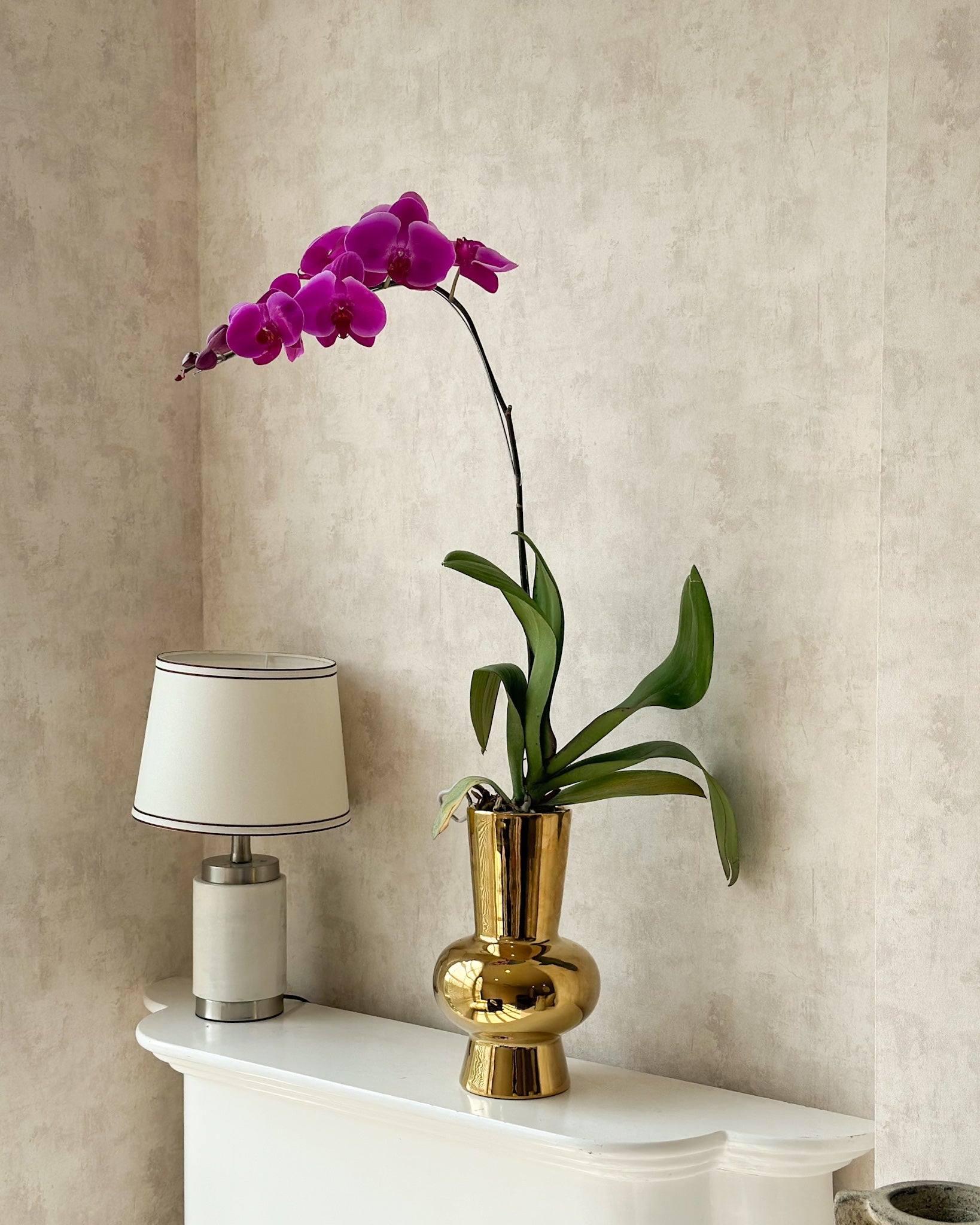 Violet Phalaenopsis in Gold Vase (Fresh Flower)