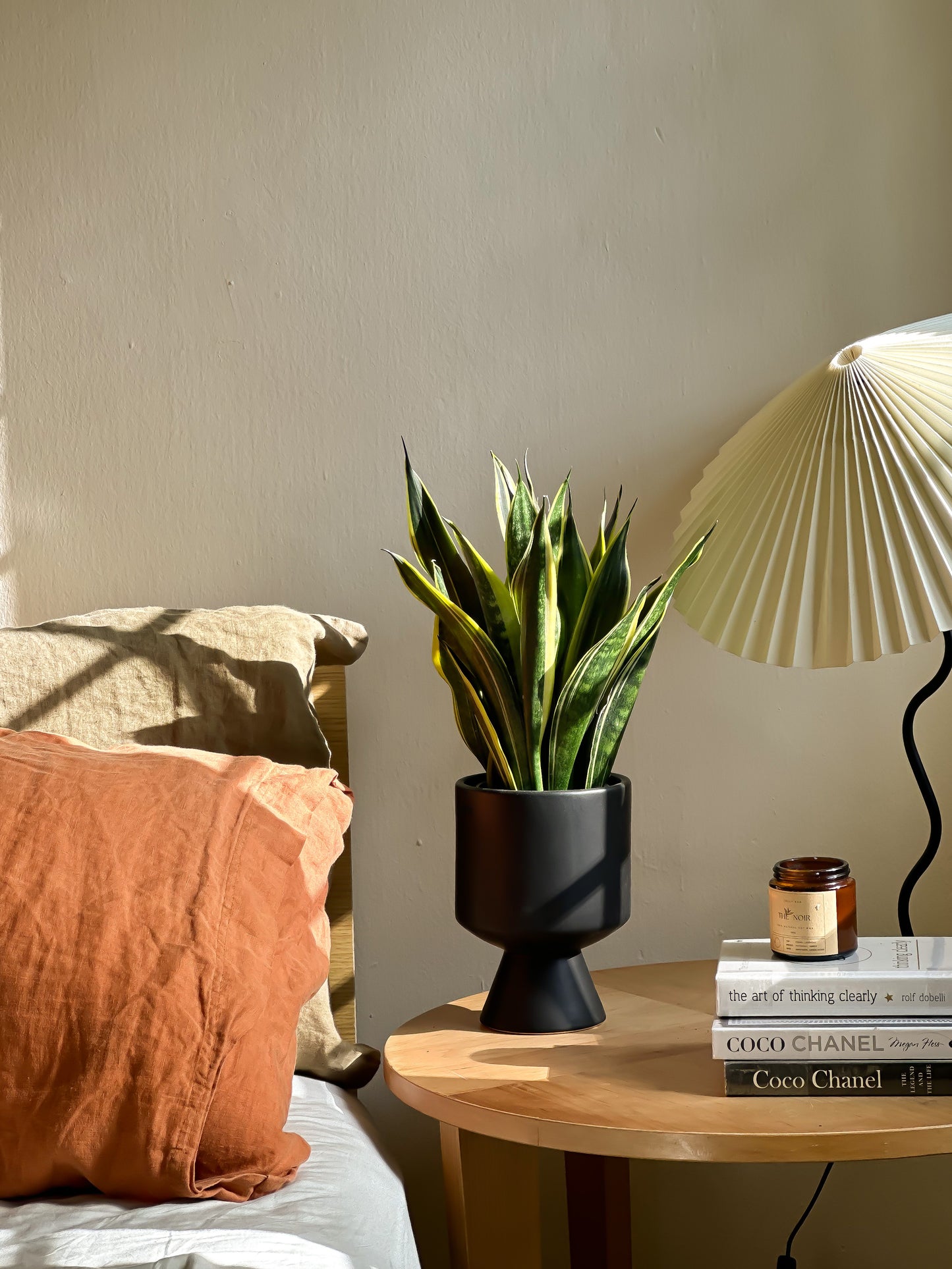 Sansevieria Superba styled with Black Calice Planter