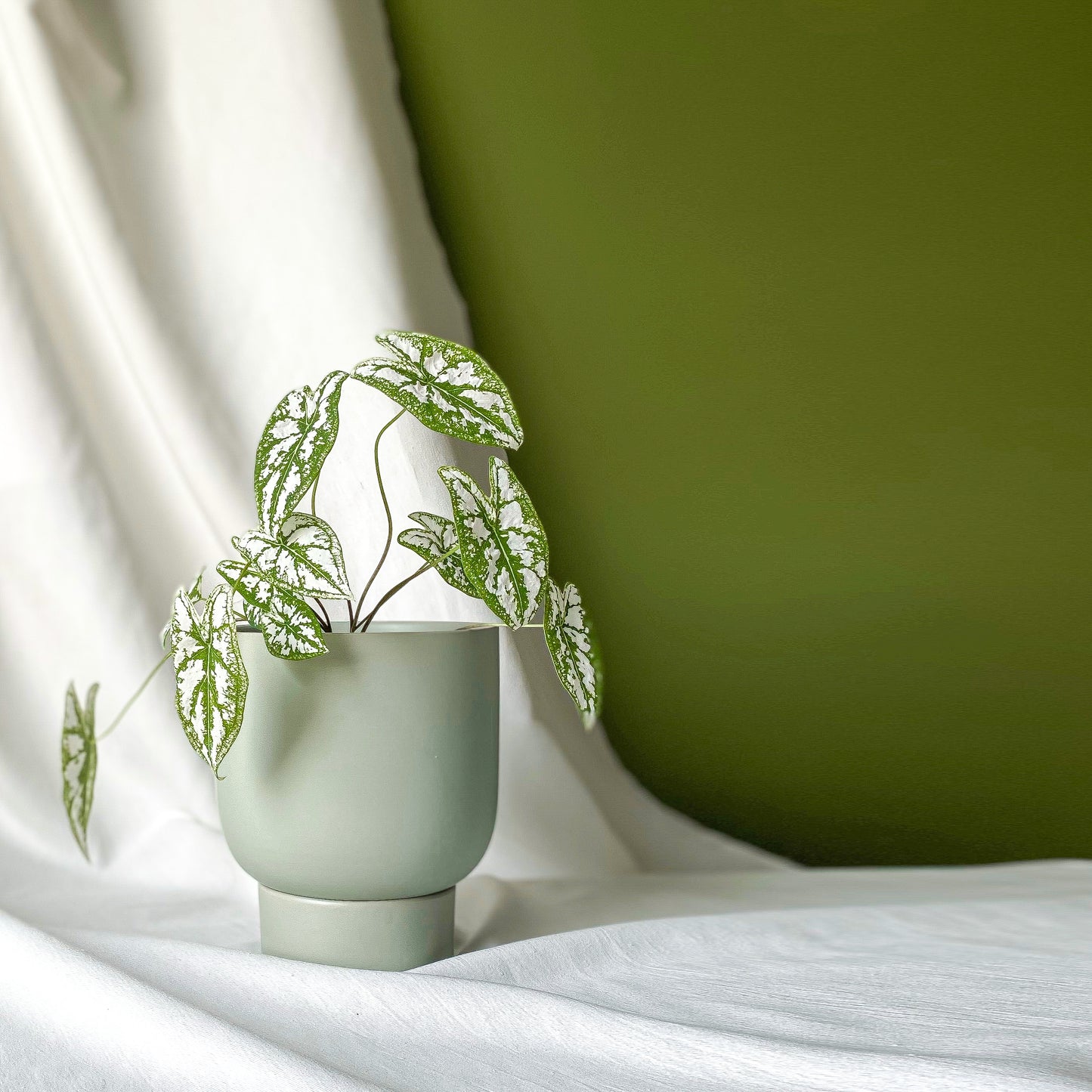 U Planter Green
