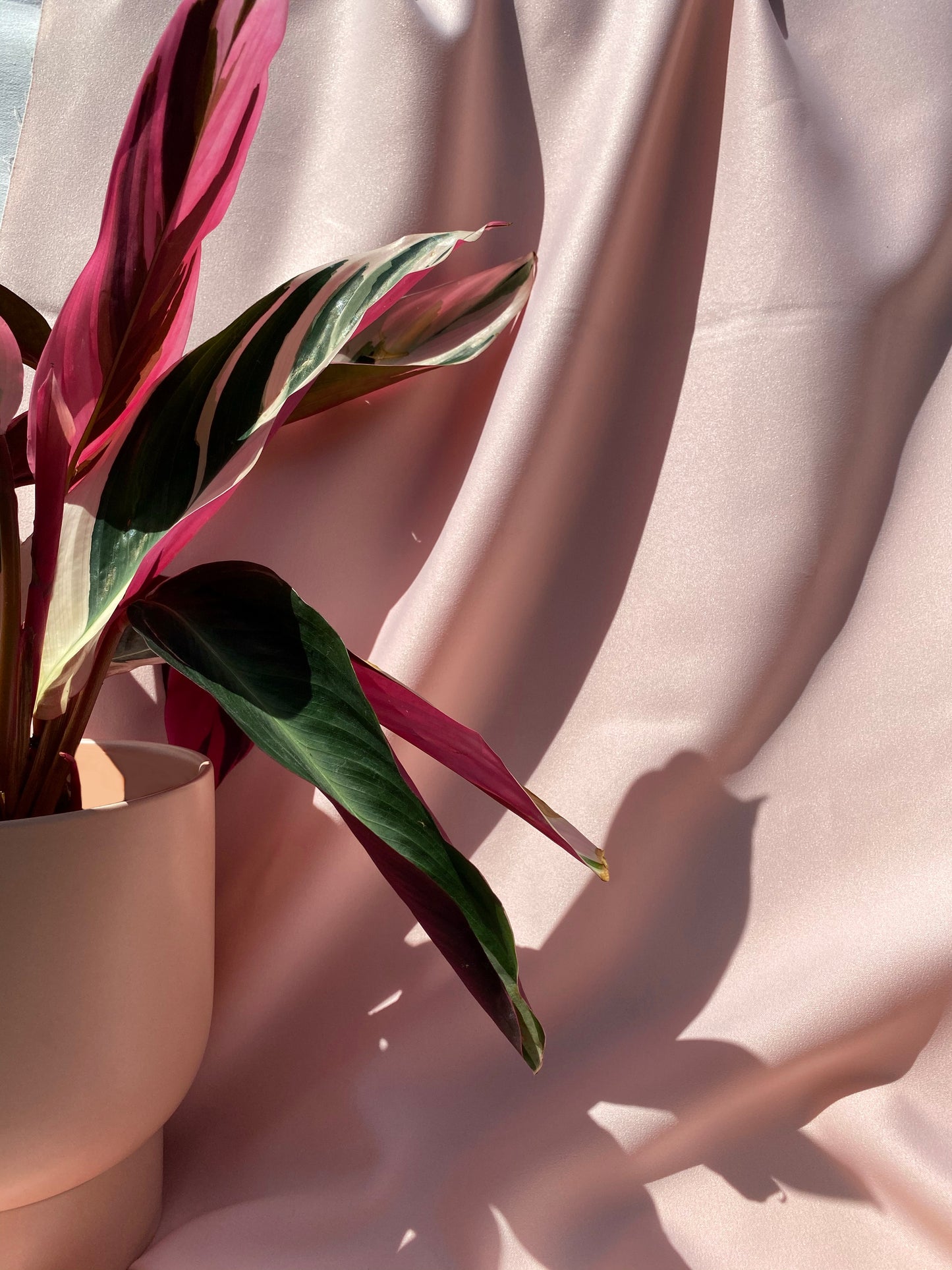 U Planter Pink
