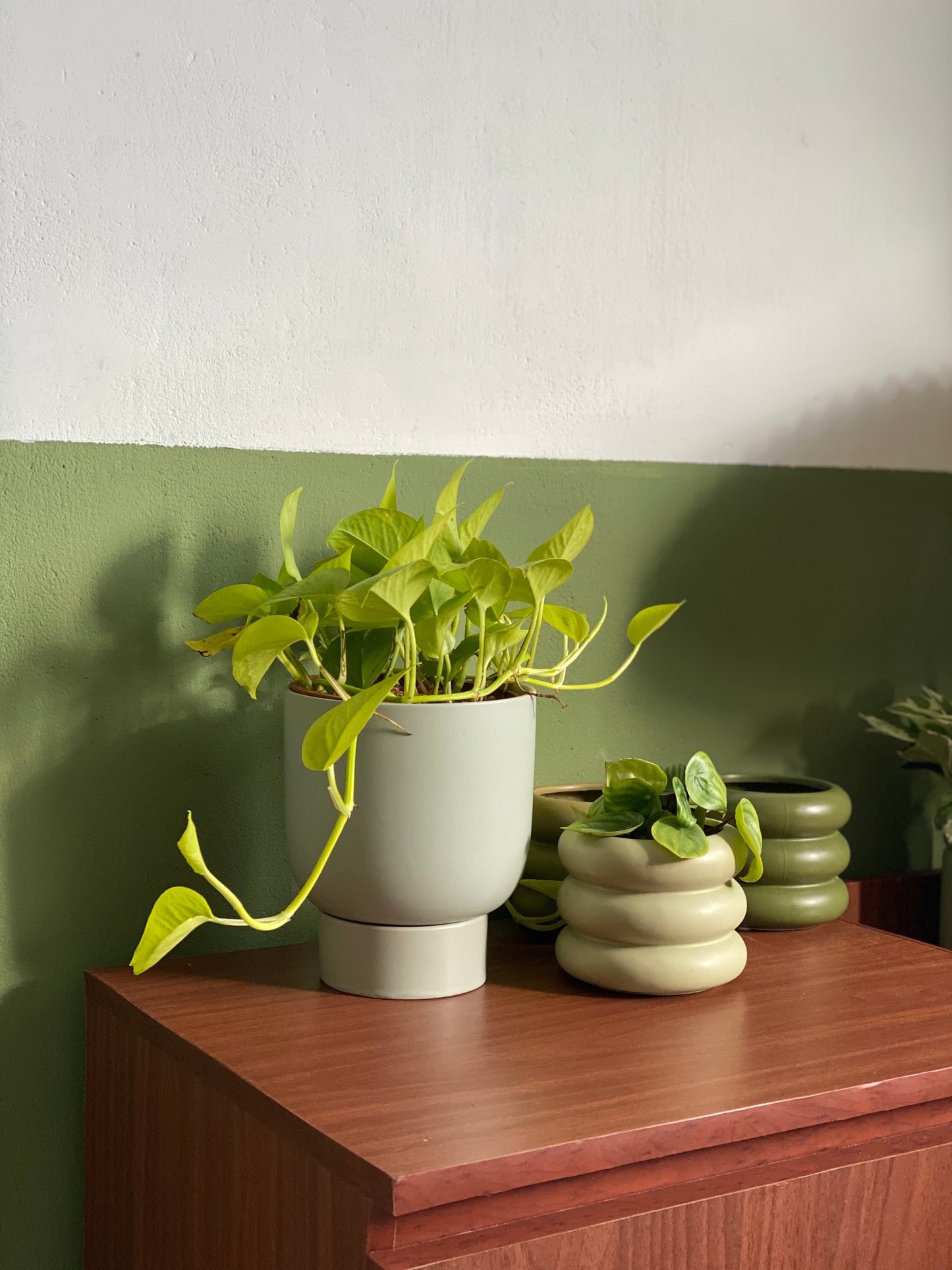 Neon Pothos styled in Green U Planter