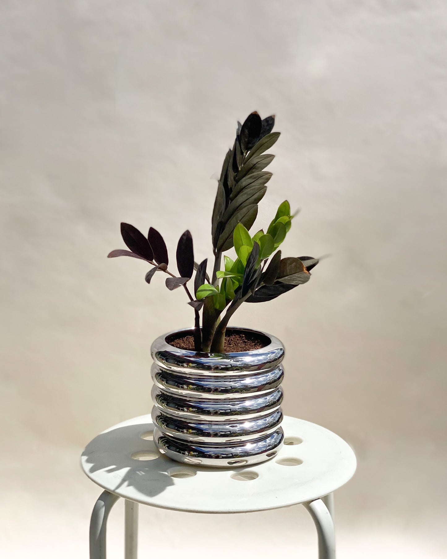 Black Raven with Metallic Michelin Planter