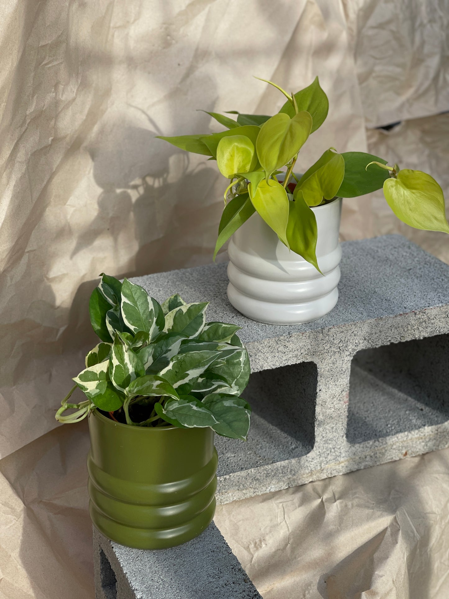 Tin Tin Planter